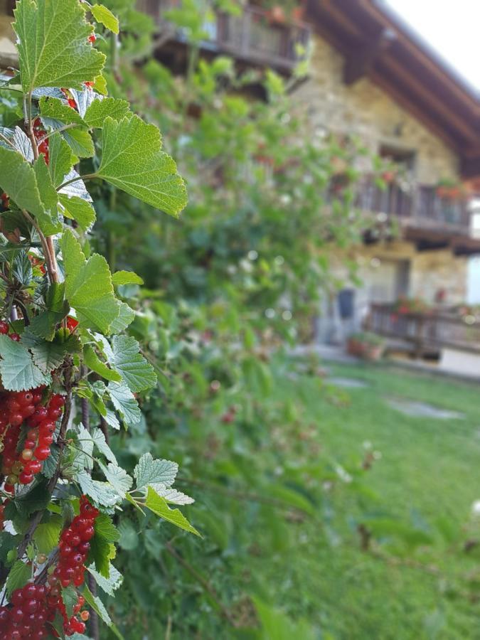 Agriturismo La Clochette Torgnon Bagian luar foto